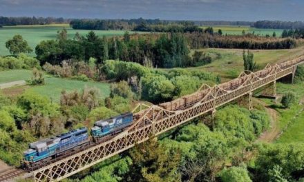 Reconstrucción Puente Ferroviario Cautín : TREN AL SUR SIN INTERRUPCIONES